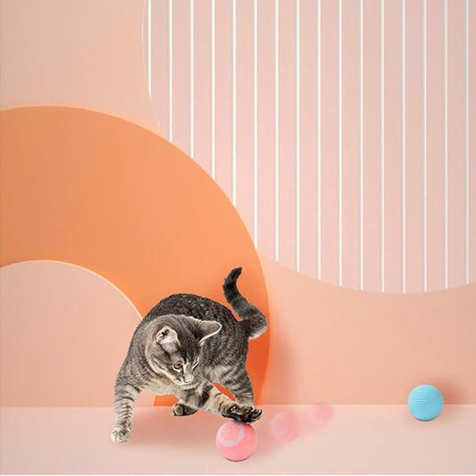Smartball Juguete Para Gato